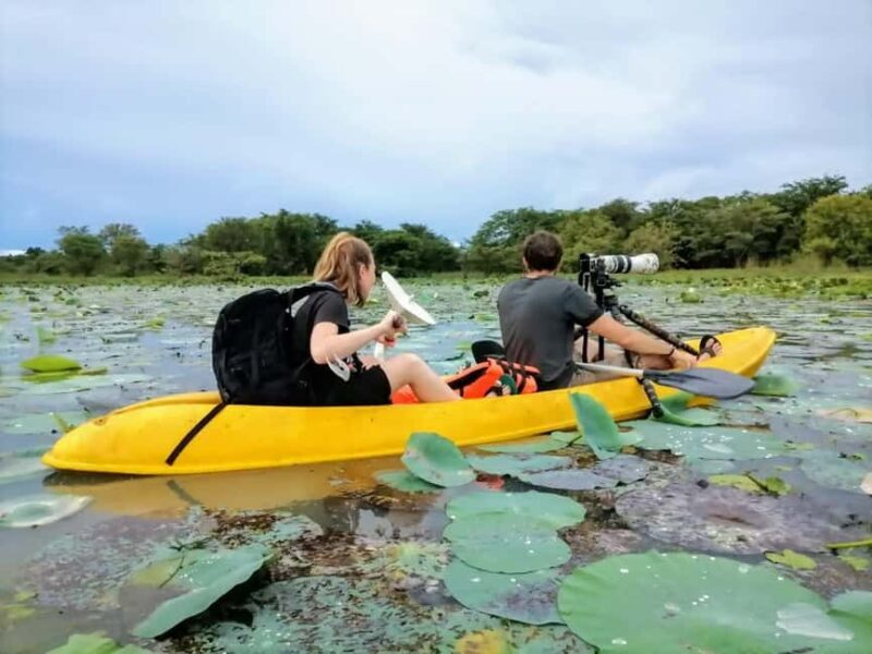 Sigiriya: Sunrise or Sunset Kayaking Tour - Final Thoughts