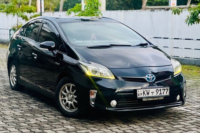 Sigiriya to Colombo Airport Departure Transfer - Deep Dive: What You Can Expect from the Sigiriya to Colombo Airport Transfer