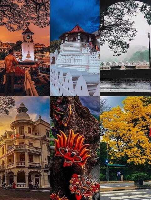 Sigiriya To Kandy Private Transfer: Visit Dambulla Temple - Final Thoughts: Is This Tour Right for You?