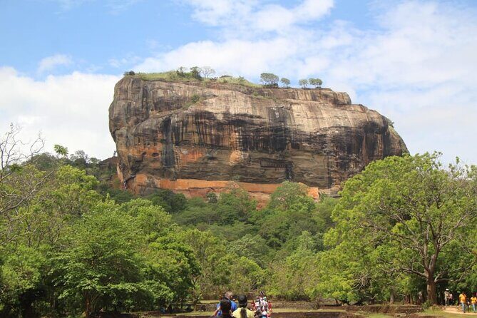 Sigiriya to Negombo Sri Lanka Transport Experience - What Makes This Transfer Stand Out?