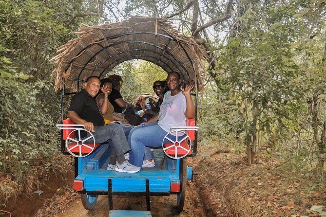 Sigiriya Village Tour and Lunch - Practical Tips for Travelers