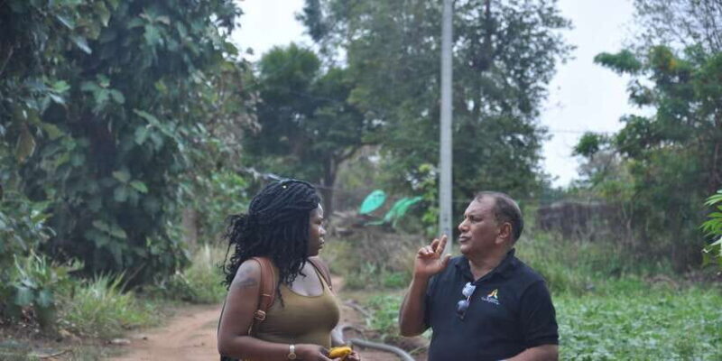 Sigiriya Village Tour and Lunch - Who Will Enjoy This Experience?