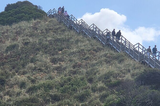 Signature Bruny Island Tour - Hobart & SE Tasmania - Why This Tour Offers Great Value