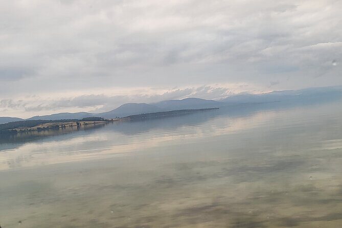 Signature Bruny Island Tour - Hobart & SE Tasmania - Final Thoughts: Is This Tour Right for You?