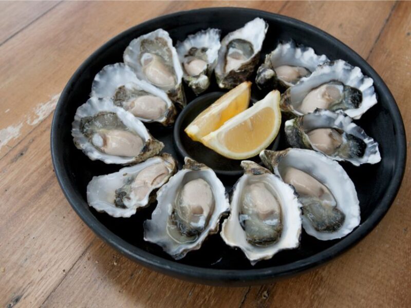 Signature Bruny Island Tour - Hobart & SE Tasmania - The Itinerary — What Makes It Special