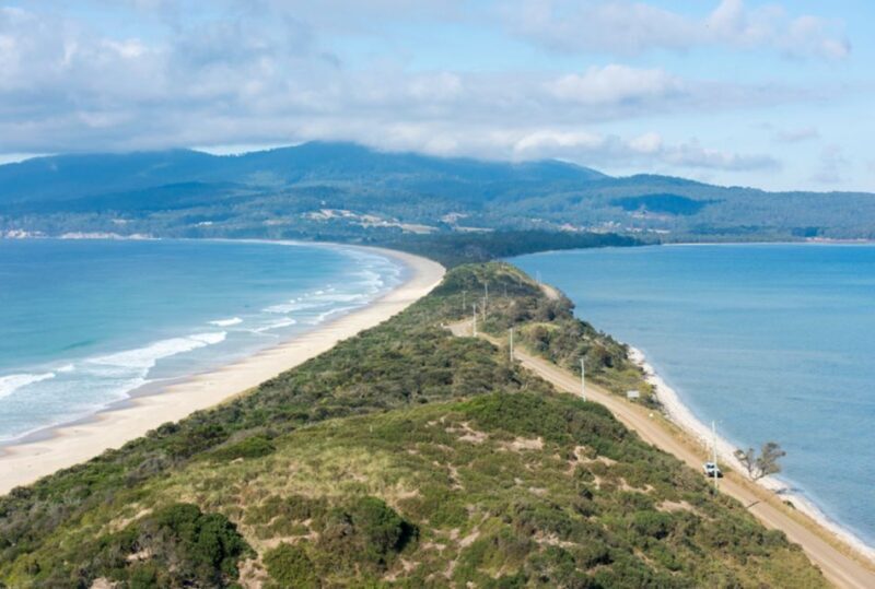 Signature Bruny Island Tour - Hobart & SE Tasmania - Scenic Views & Wildlife Encounters