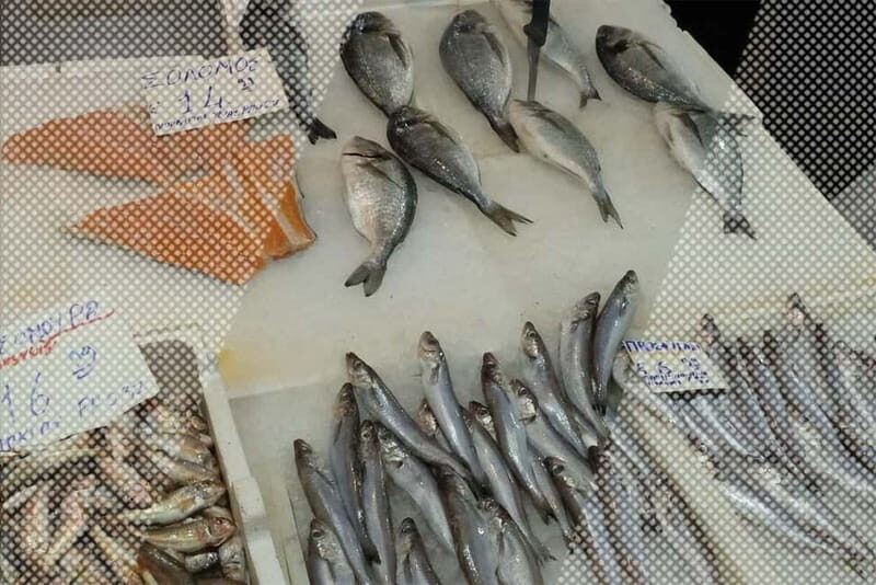 Signature Morning Walking Food Tour in Athens - Key Points