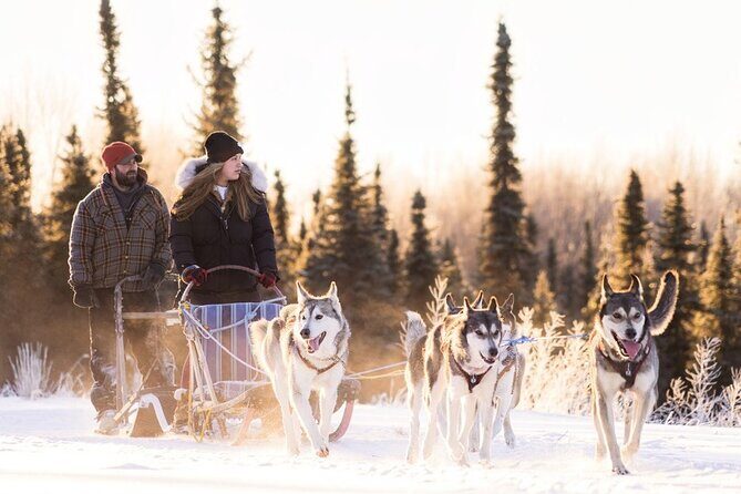 Signature Ridge Top Mush - Signature Ridge Top Mush: An Authentic Sled Dog Experience in Fairbanks