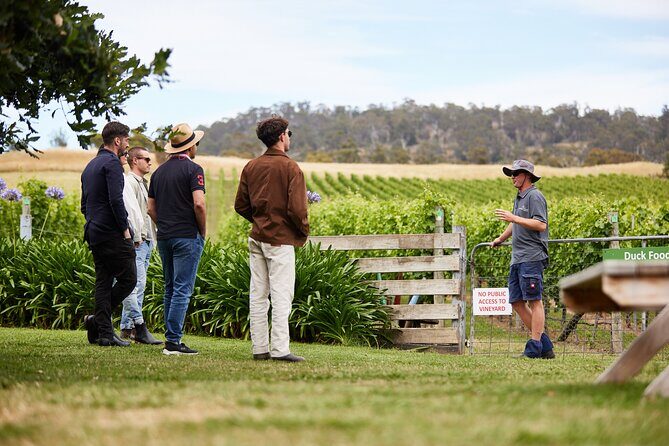 Signature Saturday Wine Tour - Authentic Traveler Experiences