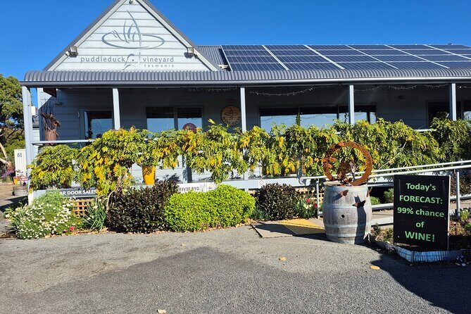 Signature Saturday Wine Tour - Why This Tour Is Worth Considering