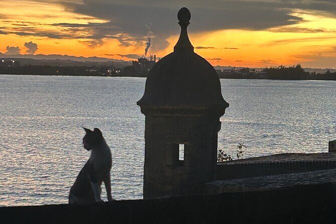 Signs and Wonders in Old San Juan History Culture and Mysteries - A Detailed Look at the "Signs and Wonders in Old San Juan" Tour
