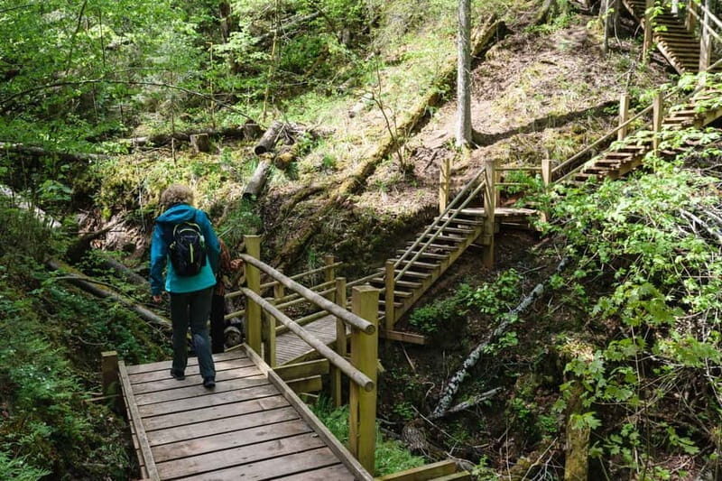 Sigulda Hiking Tour: A Day in the Switzerland of Latvia - Setting the Scene: Latvia’s Switzerland