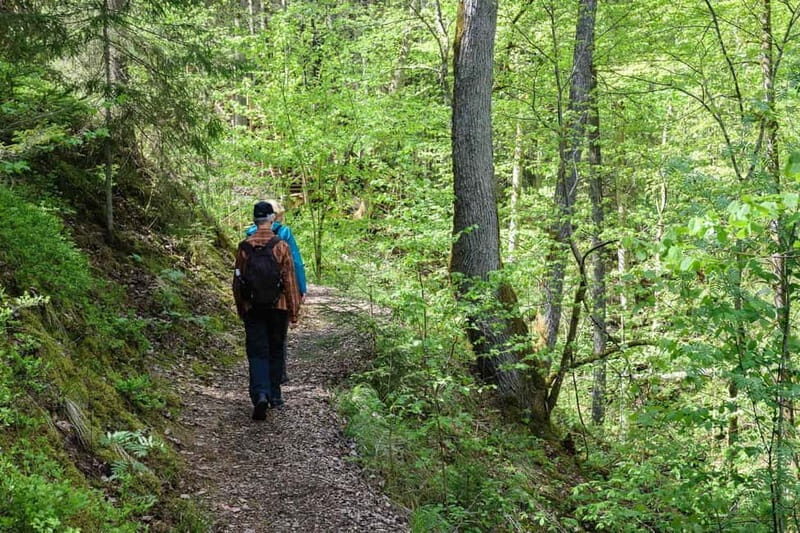 Sigulda Hiking Tour: A Day in the Switzerland of Latvia - What’s the Hiking Like?