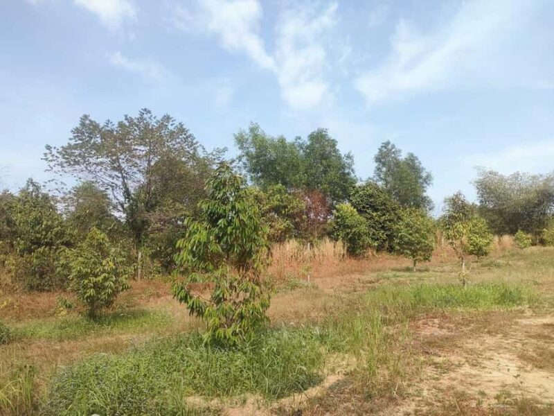 Sihanoukville: Koh Kjorng Village (4 hours tour) - The Bottom Line: Who Should Consider This Tour?