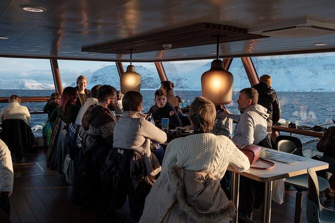 Silent Whale Watching - The Sum Up: Who Will Love This Tour?