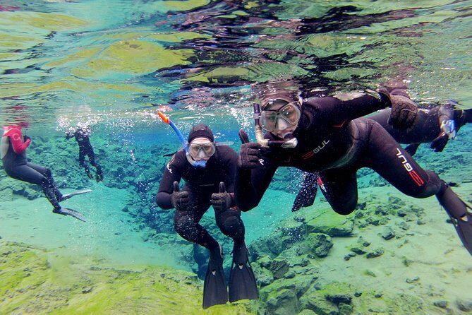 Silfra Drysuit Snorkeling with Free Photos - Meet on Location - Whats Included and What to Bring