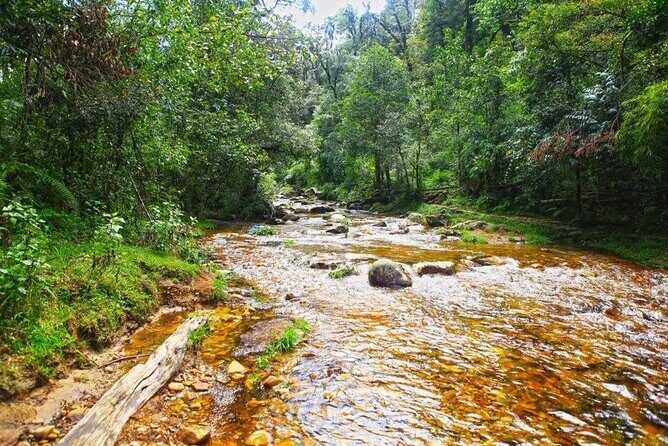 Silver and Love Waterfall, Lonely Tree Private Tour By Car - FAQ