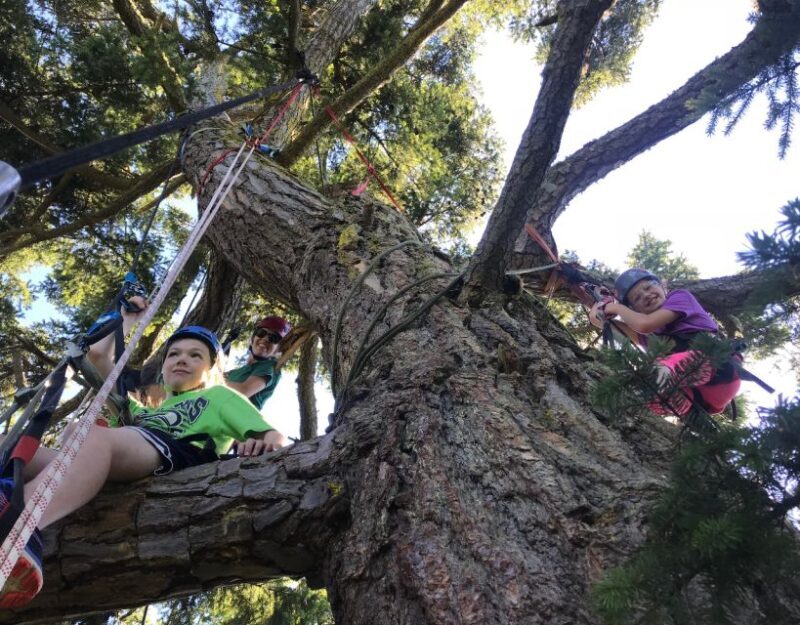 Silver Falls: Old-Growth Tree Climbing Adventure - FAQ: Your Questions Answered