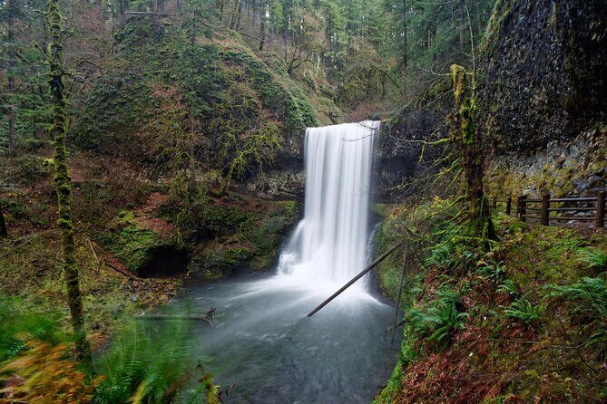 Silver Falls Private Hike Tour - Who Should Consider This Tour?