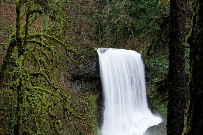 Silver Falls Private Hike Tour - Frequently Asked Questions