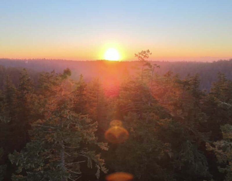 Silver Falls State Park: Tree Climbing Sunset Tour - An Authentic Tree Climbing Adventure in Silver Falls State Park