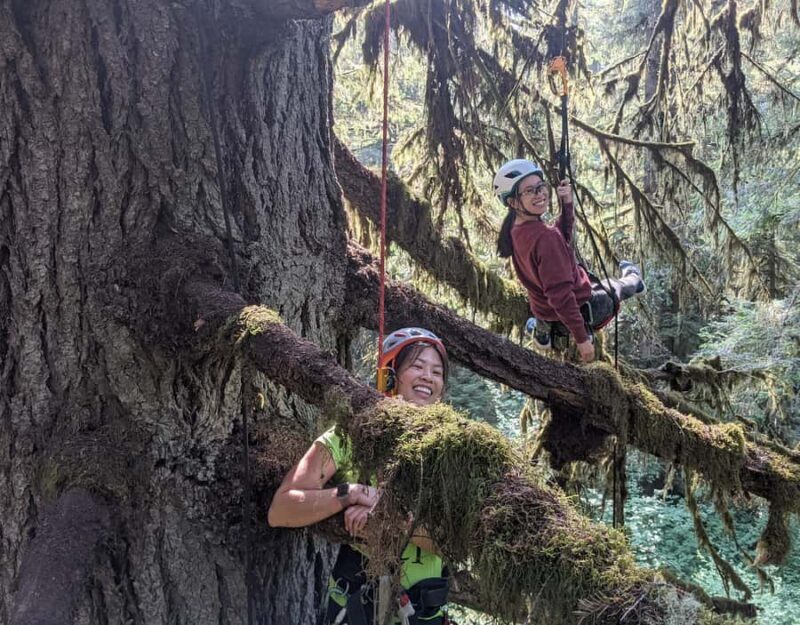 Silver Falls State Park: Tree Climbing Sunset Tour - FAQ