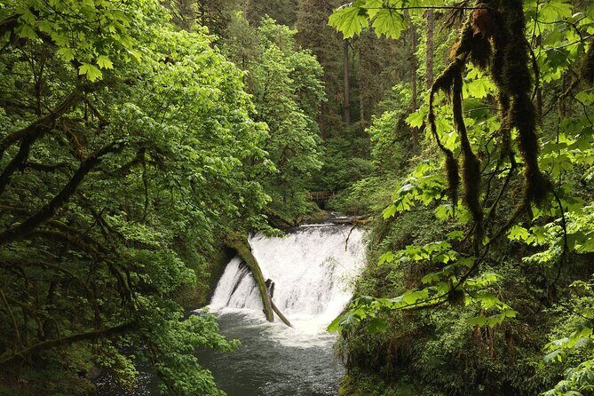 Silver Falls Waterfall Hiking Tour from Portland - FAQs
