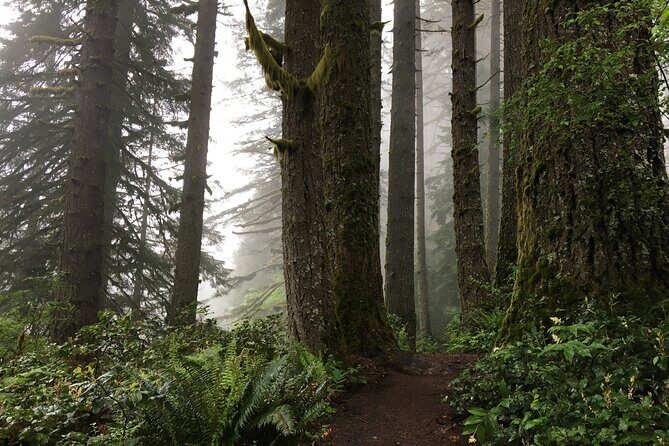Silver Falls Waterfall Hiking Tour from Portland - Final Verdict