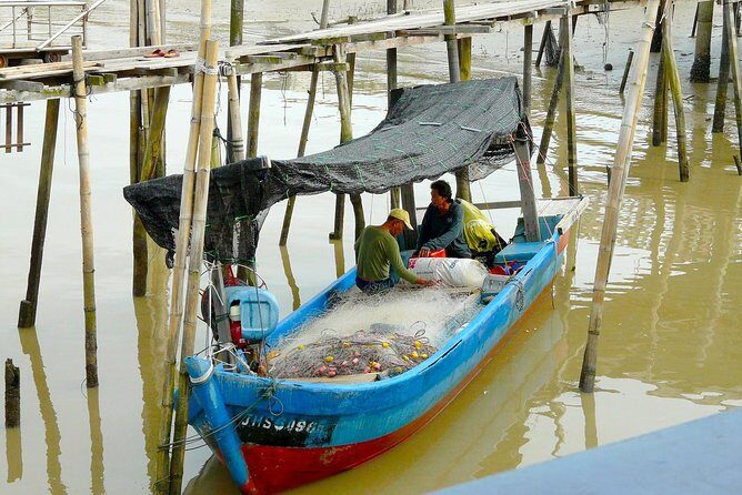 Silver Leaf Monkeys and Firefly Tour with Boat Ride and Seafood Dinner - An In-Depth Look at the Tour Experience