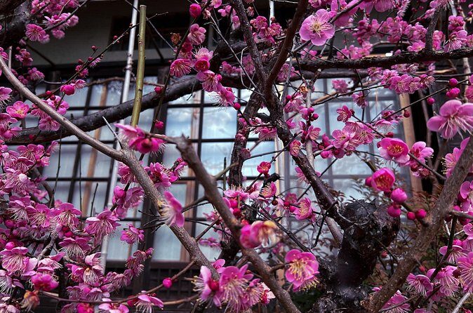 Silver Pavilion the Zen Side of Kyoto - FAQs