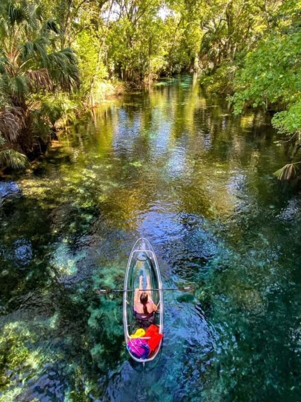 Silver Springs: Clear Kayak Eco-Tour with Manatee Viewing - Key Points