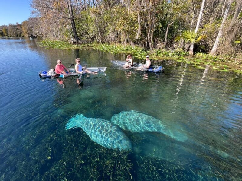 Silver Springs: Clear Kayak Manatee Season Tour - Silver Springs: Clear Kayak Manatee Season Tour – An Authentic Florida Experience