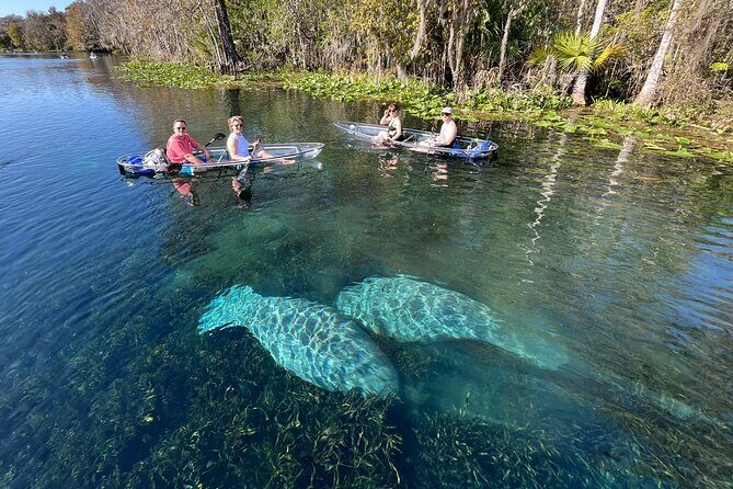 Silver Springs: Clear Kayak Wildlife Adventure - The Sum Up