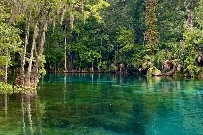 Silver Springs: Clear Kayaking Wildlife Tour - The Guide’s Role