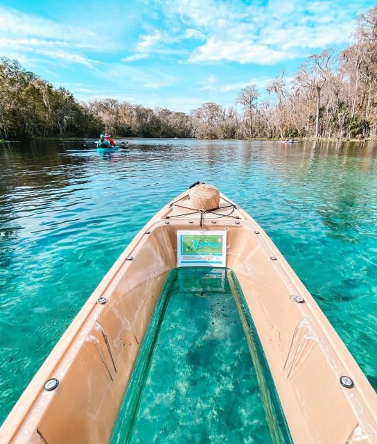 Silver Springs: Glass Bottom Kayak and Wildlife Tour - Key Points