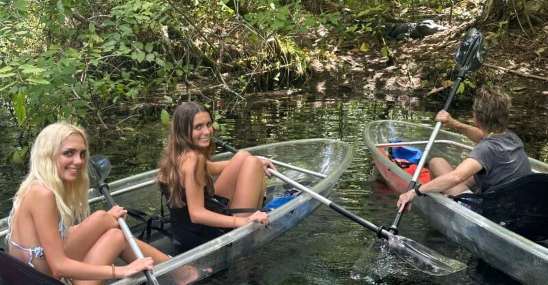 Silver Springs: Guided Clear Kayak or Paddleboard Gator Tour - Why This Tour Offers Great Value