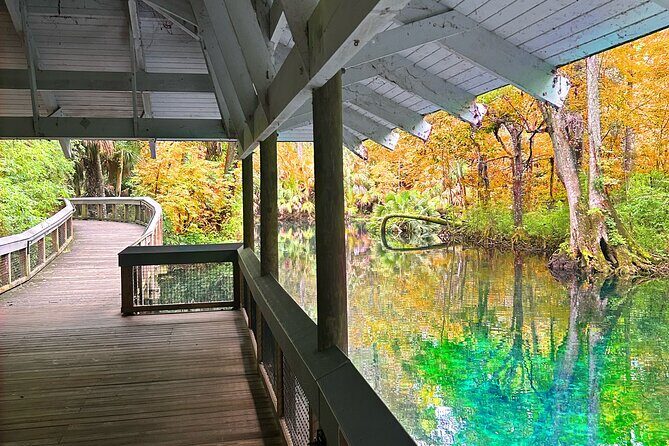 Silver Springs Jungle Kayaking and Paddleboarding - Who Should Consider This Tour?