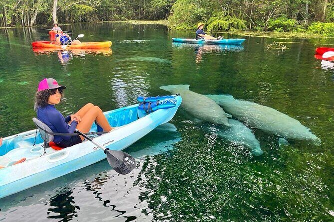 Silver Springs Kayak Rental - The Best Florida Adventure - Silver Springs Kayak Rental – The Best Florida Adventure