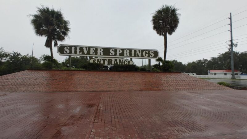 Silver Springs Manatee Kayaking Tour - Final Thoughts