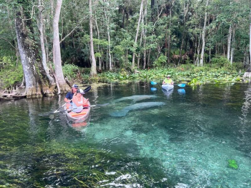 Silver Springs: Manatees, Monkeys, and Natural Spring Tour - Who Will Love This Tour?