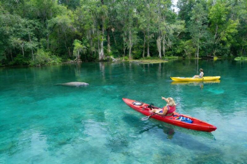 Silver Springs Orlando: Small Group Manatee Season Day Trip - Why This Tour Appeals