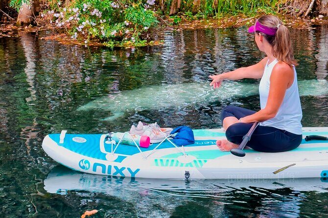 Silver Springs Paddle Adventure - What Makes This Tour Stand Out?