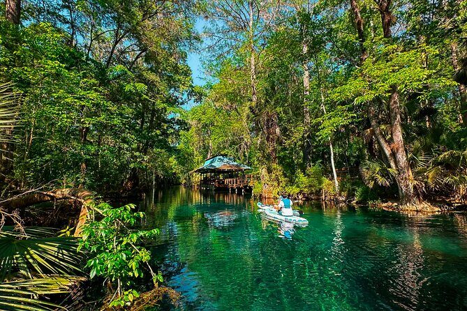 Silver Springs Paddle Adventure - The Itinerary: What to Expect?