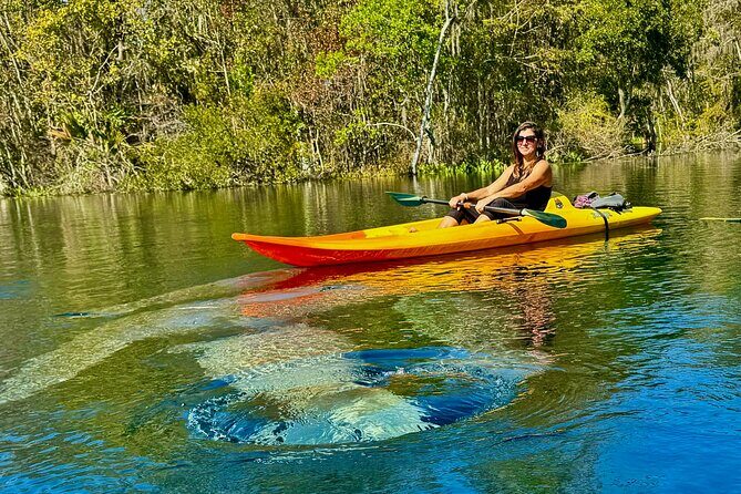 Silver Springs Premium Florida Wildlife Experience! - A Closer Look at the Silver Springs Wildlife Experience