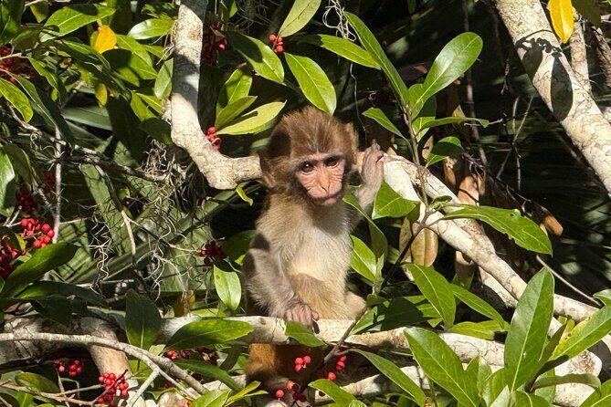 Silver Springs Premium Florida Wildlife Experience! - FAQ