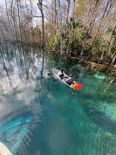 Silver Springs: Silver River Guided Kayak Tour - Key Points