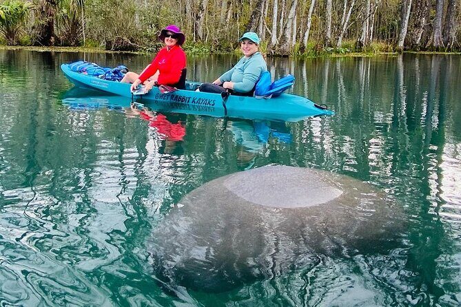 Silver Springs Wildlife Tour - Glass Bottom Kayaks - Authentic Experiences and Traveler Feedback