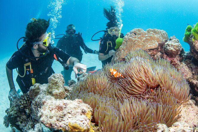 Silverswift Dive and Snorkel Great Barrier Reef Cruise - Things to Consider
