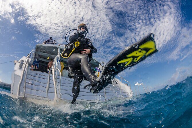 Silverswift Dive and Snorkel Great Barrier Reef Cruise - Who Should Consider This Tour?