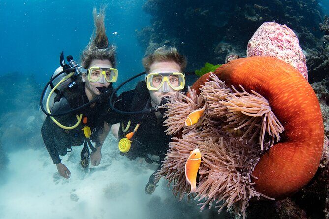 Silverswift Dive and Snorkel Great Barrier Reef Cruise - FAQ